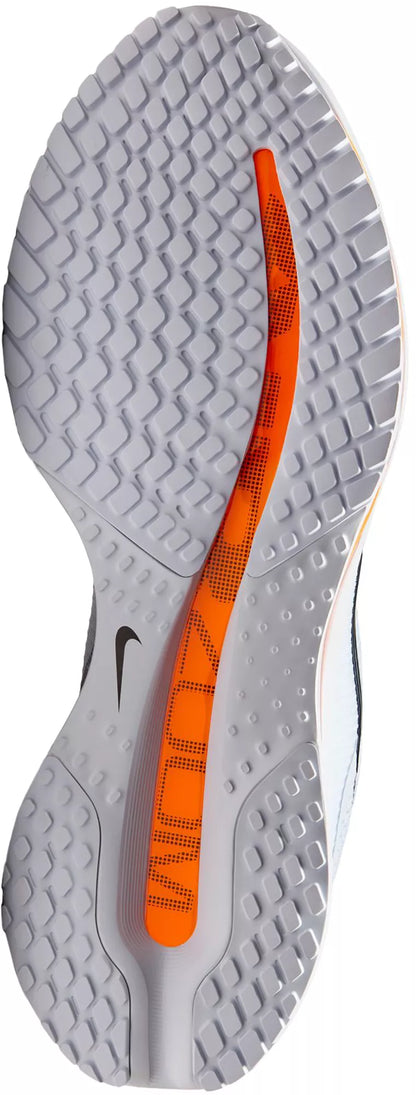 Nike Air Max Pegasus Premium 'Airscape'