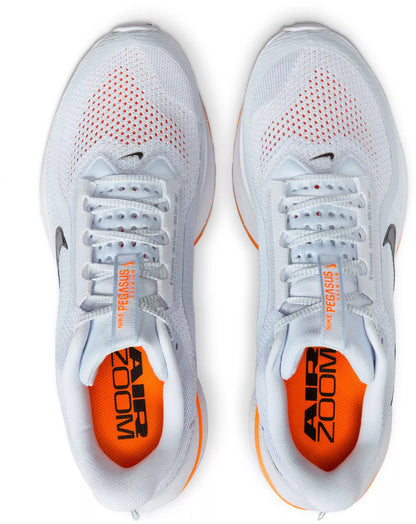 Nike Air Max Pegasus Premium 'Airscape'
